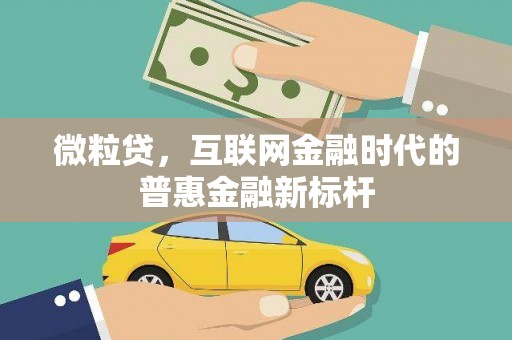 黑龙江微粒贷，互联网金融时代的普惠金融新标杆
