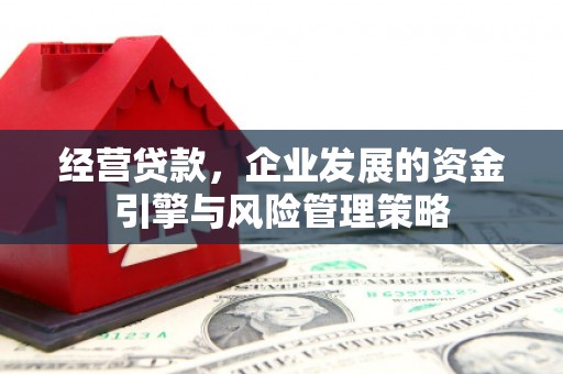 黑龙江经营贷款，企业发展的资金引擎与风险管理策略