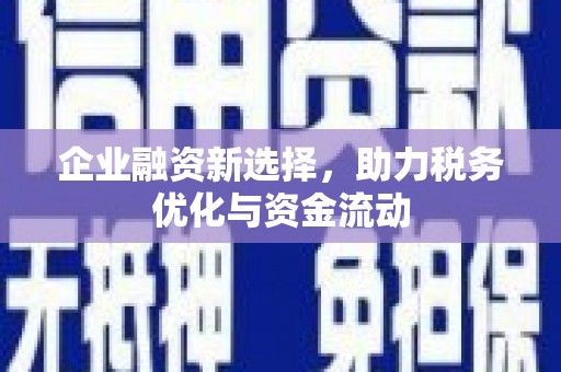 黑龙江企业融资新选择，助力税务优化与资金流动