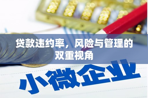 黑龙江贷款违约率，风险与管理的双重视角