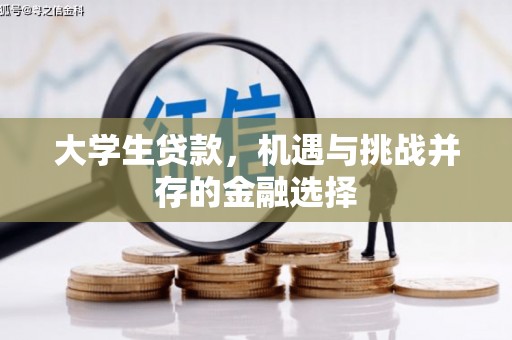 黑龙江大学生贷款，机遇与挑战并存的金融选择