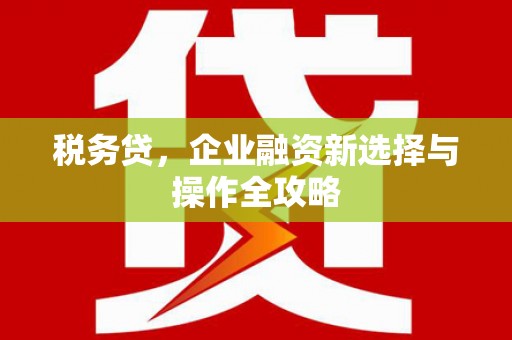 黑龙江税务贷，企业融资新选择与操作全攻略