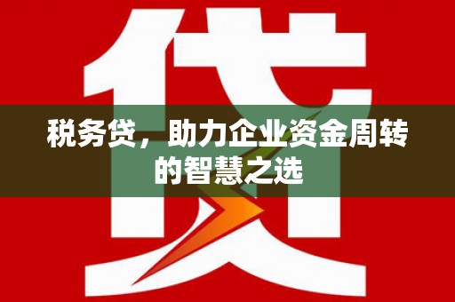 黑龙江税务贷，助力企业资金周转的智慧之选