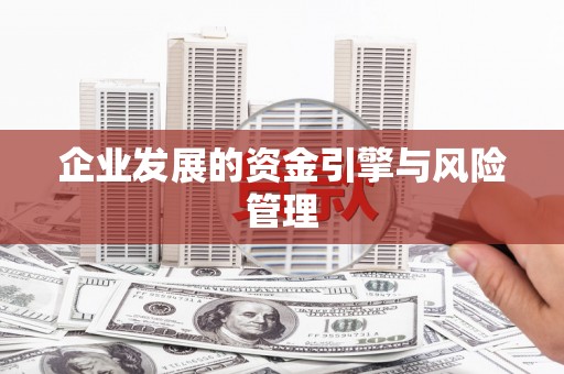 黑龙江企业发展的资金引擎与风险管理