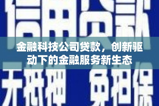 黑龙江金融科技公司贷款，创新驱动下的金融服务新生态