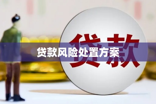 黑龙江贷款风险处置方案