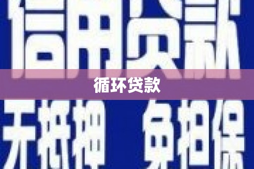 黑龙江循环贷款