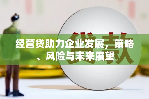 黑龙江经营贷助力企业发展，策略、风险与未来展望