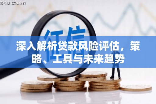 黑龙江深入解析贷款风险评估，策略、工具与未来趋势
