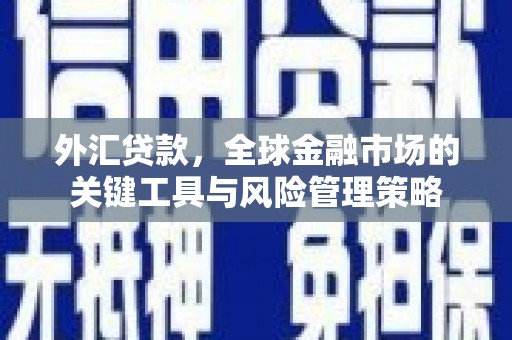 黑龙江外汇贷款，全球金融市场的关键工具与风险管理策略