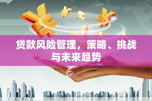 黑龙江贷款风险管理，策略、挑战与未来趋势