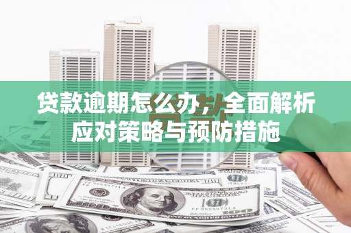 黑龙江贷款逾期怎么办，全面解析应对策略与预防措施