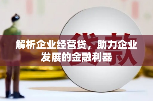 黑龙江解析企业经营贷，助力企业发展的金融利器