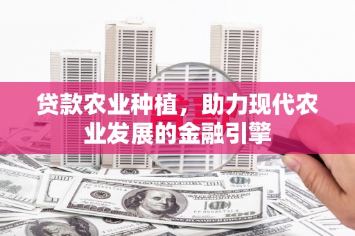 黑龙江贷款农业种植，助力现代农业发展的金融引擎