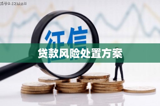 黑龙江贷款风险处置方案