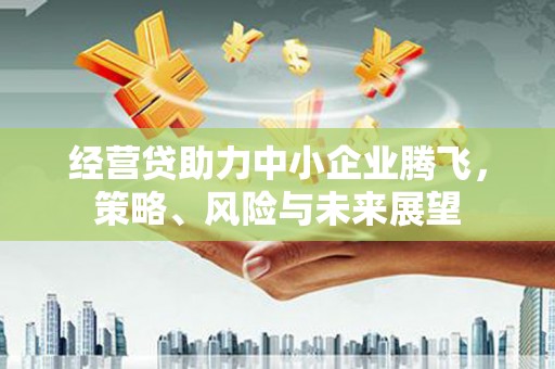 黑龙江经营贷助力中小企业腾飞，策略、风险与未来展望