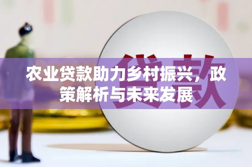 黑龙江农业贷款助力乡村振兴，政策解析与未来发展