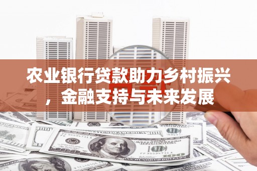 黑龙江农业银行贷款助力乡村振兴，金融支持与未来发展