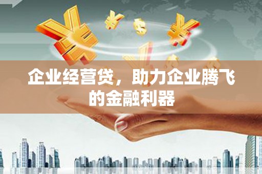 黑龙江企业经营贷，助力企业腾飞的金融利器