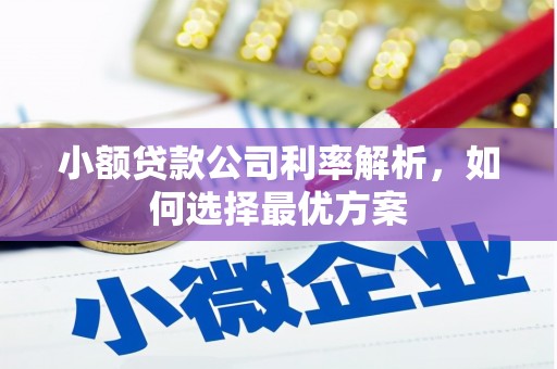 黑龙江小额贷款公司利率解析，如何选择最优方案