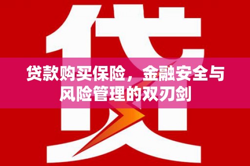 黑龙江贷款购买保险，金融安全与风险管理的双刃剑