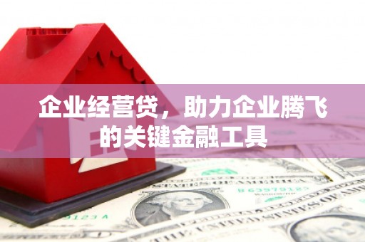 黑龙江企业经营贷，助力企业腾飞的关键金融工具