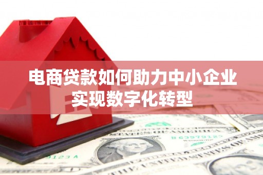 黑龙江电商贷款如何助力中小企业实现数字化转型