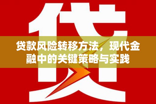 黑龙江贷款风险转移方法，现代金融中的关键策略与实践