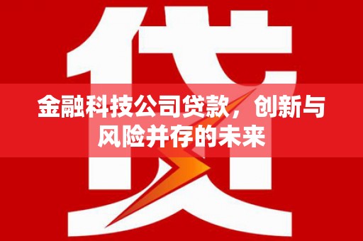 黑龙江金融科技公司贷款，创新与风险并存的未来