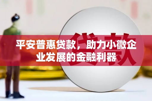 黑龙江平安普惠贷款，助力小微企业发展的金融利器