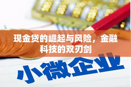 黑龙江现金贷的崛起与风险，金融科技的双刃剑