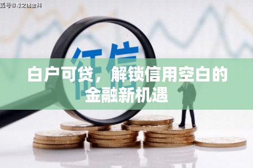 黑龙江白户可贷，解锁信用空白的金融新机遇