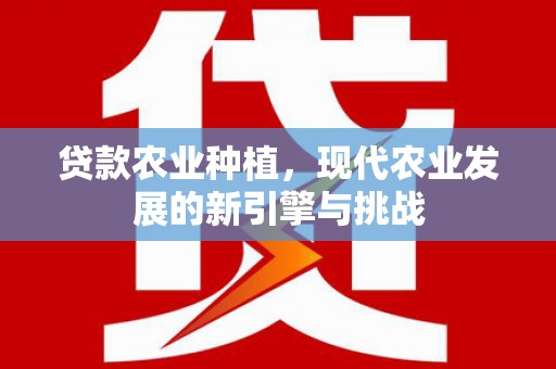 黑龙江贷款农业种植，现代农业发展的新引擎与挑战