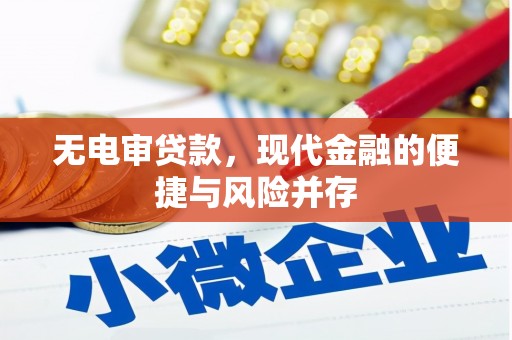 黑龙江无电审贷款，现代金融的便捷与风险并存