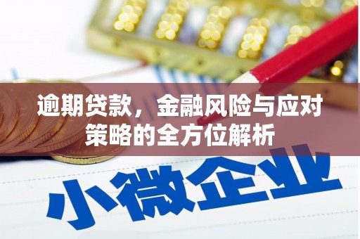 黑龙江逾期贷款，金融风险与应对策略的全方位解析