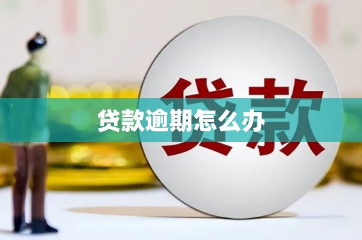 黑龙江贷款逾期怎么办