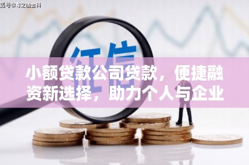 黑龙江小额贷款公司贷款，便捷融资新选择，助力个人与企业成长