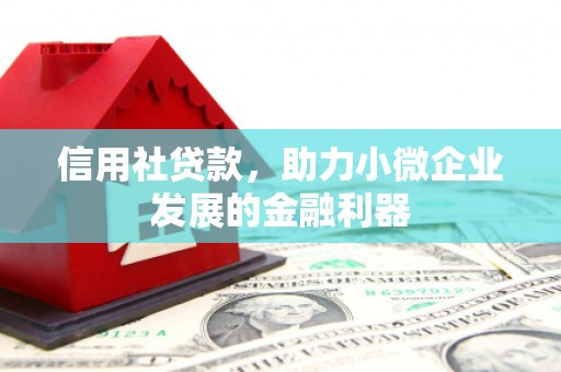 黑龙江信用社贷款，助力小微企业发展的金融利器