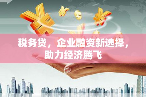 黑龙江税务贷，企业融资新选择，助力经济腾飞