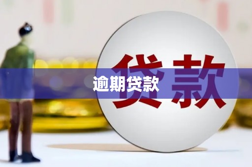 黑龙江逾期贷款