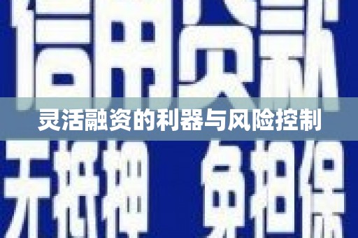黑龙江灵活融资的利器与风险控制