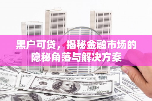 黑龙江黑户可贷，揭秘金融市场的隐秘角落与解决方案