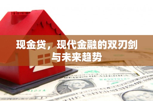黑龙江现金贷，现代金融的双刃剑与未来趋势