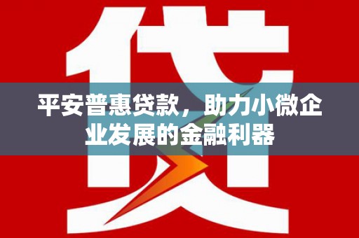 黑龙江平安普惠贷款，助力小微企业发展的金融利器