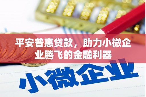 黑龙江平安普惠贷款，助力小微企业腾飞的金融利器