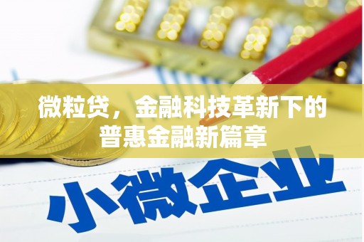 黑龙江微粒贷，金融科技革新下的普惠金融新篇章