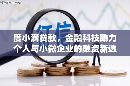 黑龙江度小满贷款，金融科技助力个人与小微企业的融资新选择