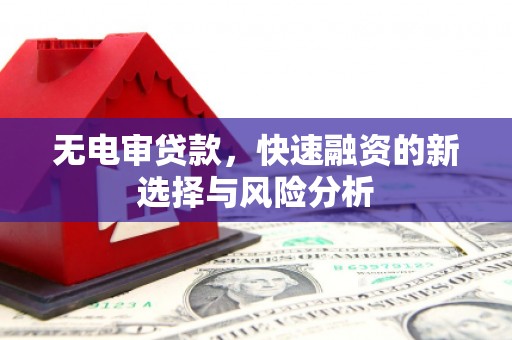 黑龙江无电审贷款，快速融资的新选择与风险分析