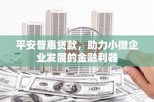 黑龙江平安普惠贷款，助力小微企业发展的金融利器