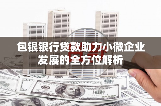 黑龙江包银银行贷款助力小微企业发展的全方位解析